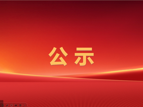 辰龙集团2024年事故隐患排查治理台账